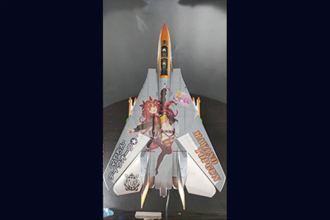F-14Aマヤノトップガン仕様02